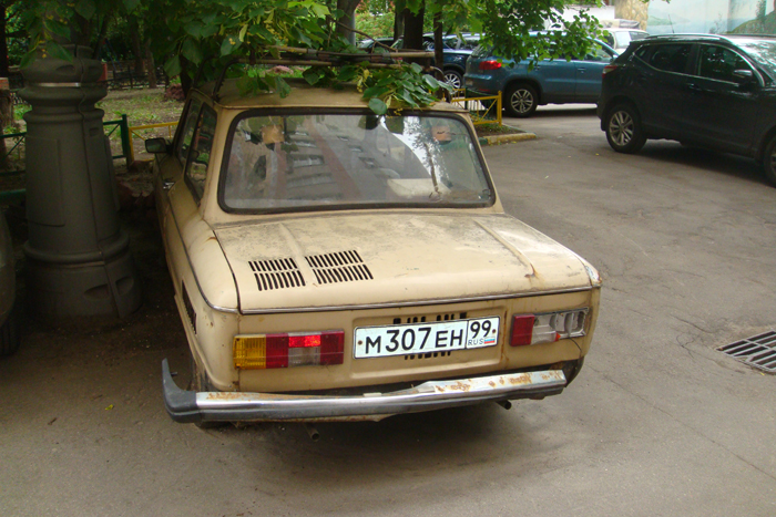 DSC04831.jpg