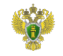 Северной транспортной прокуратурой приняты меры к освобождению причала, а также акватории затона Новинки р. Москва от незаконной стоянки и отстоя судов. 