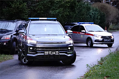 В Москве сотрудники Росгвардии задержали мужчину, пытавшегося угнать автомобиль