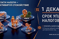 Как получить и оплатить налоговое уведомление через ЕПГУ