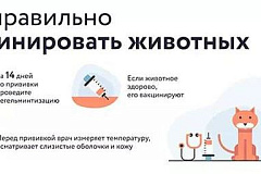 Сегодня во всем мире отмечается День борьбы против бешенства 